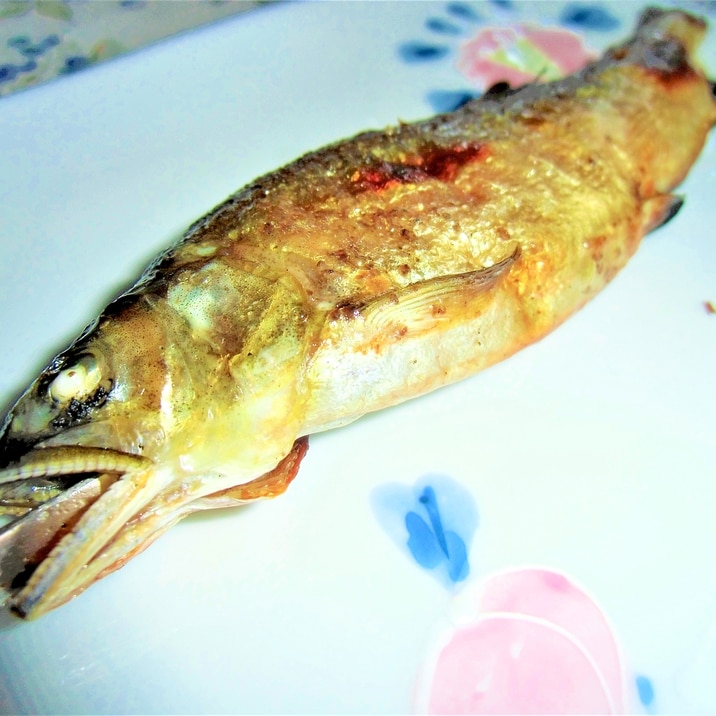 鮎の登り串 からのグリルで塩焼き レシピ 作り方 By てかと 楽天レシピ 鮎の登り串 からのグリルで塩焼き レシピ 作り方 By てかと 楽天レシピ